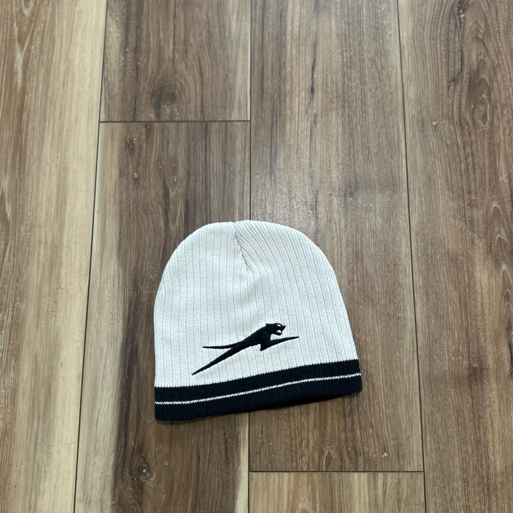 Arctic cat vintage beanie